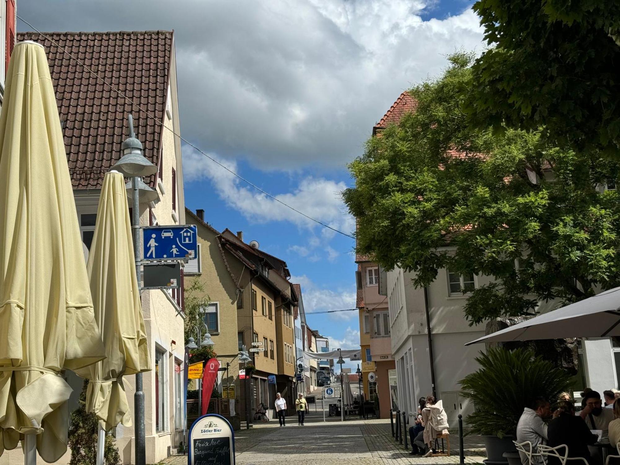 90Qm 4-Zimmer-Wohnung - Apartment Friedrichstrasse Vaihingen an der Enz Buitenkant foto