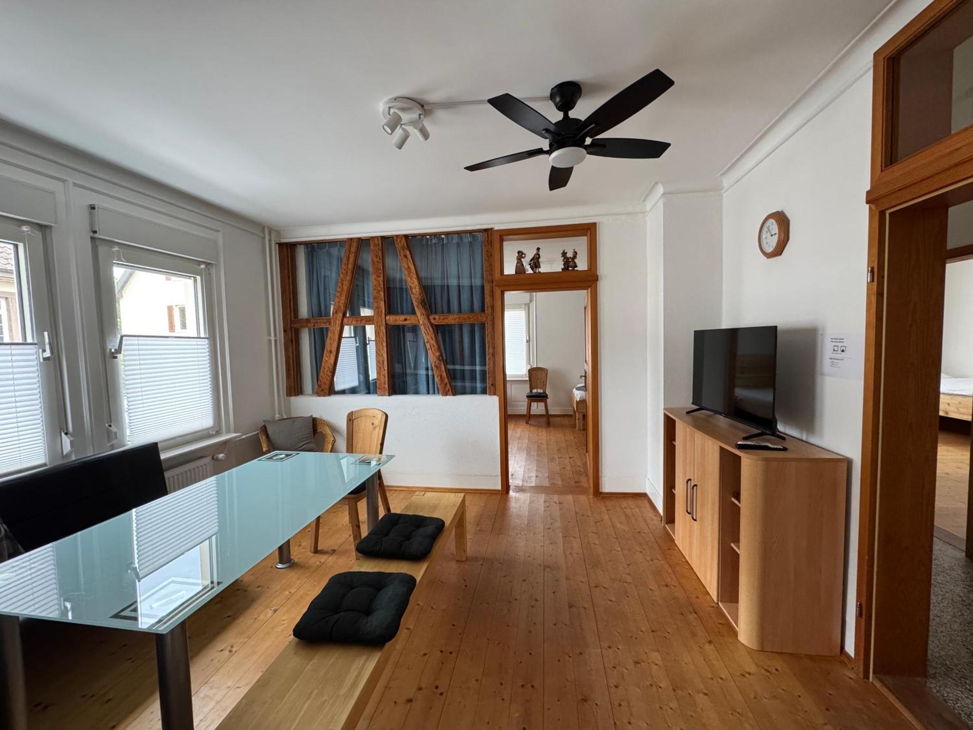 90Qm 4-Zimmer-Wohnung - Apartment Friedrichstrasse Vaihingen an der Enz Buitenkant foto